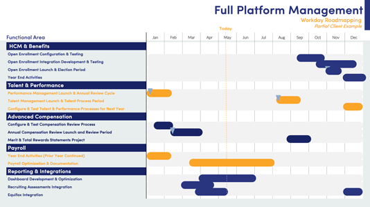 screenshot of a project roadmap included in our application management services package